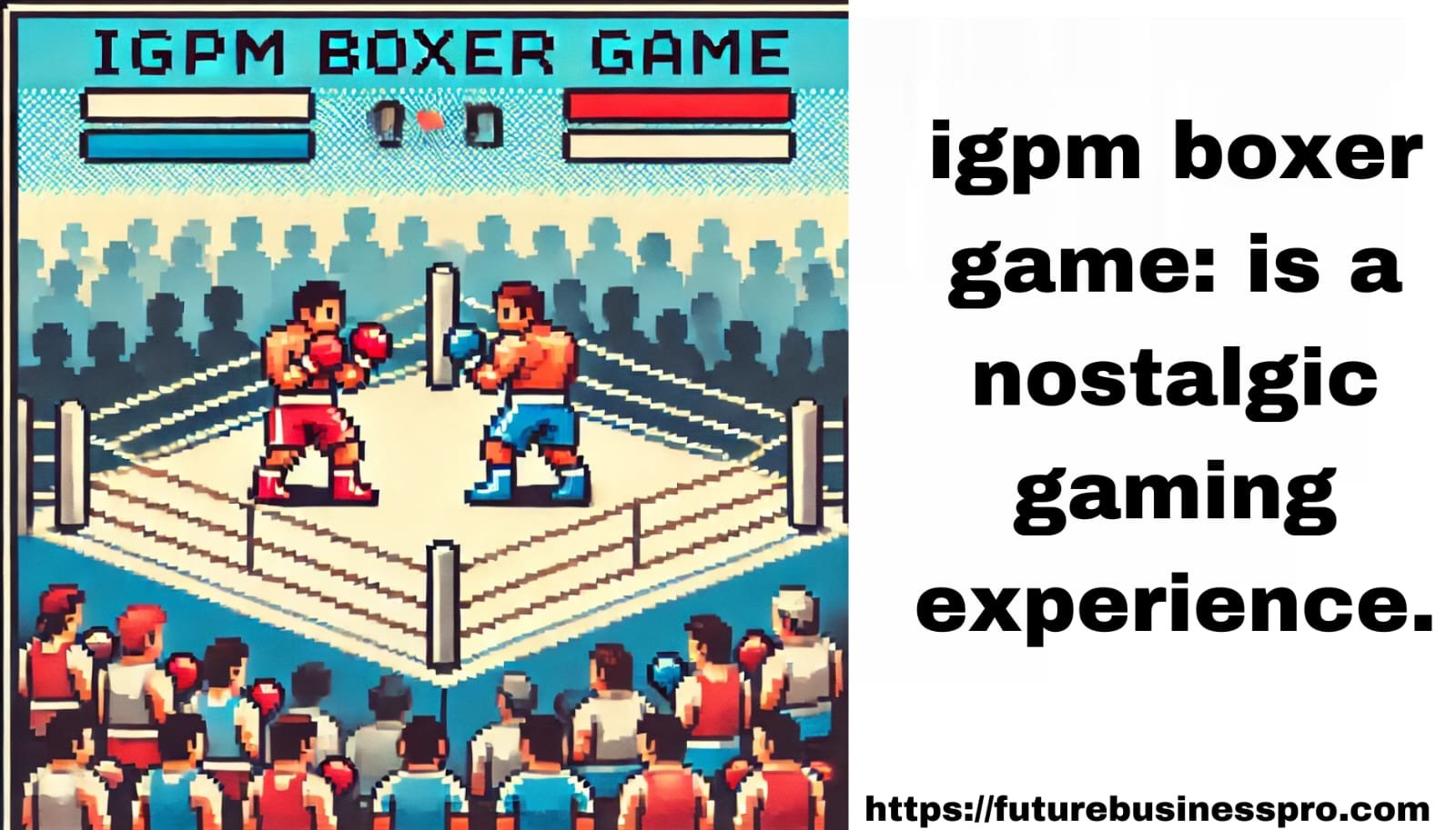 igpm boxer game